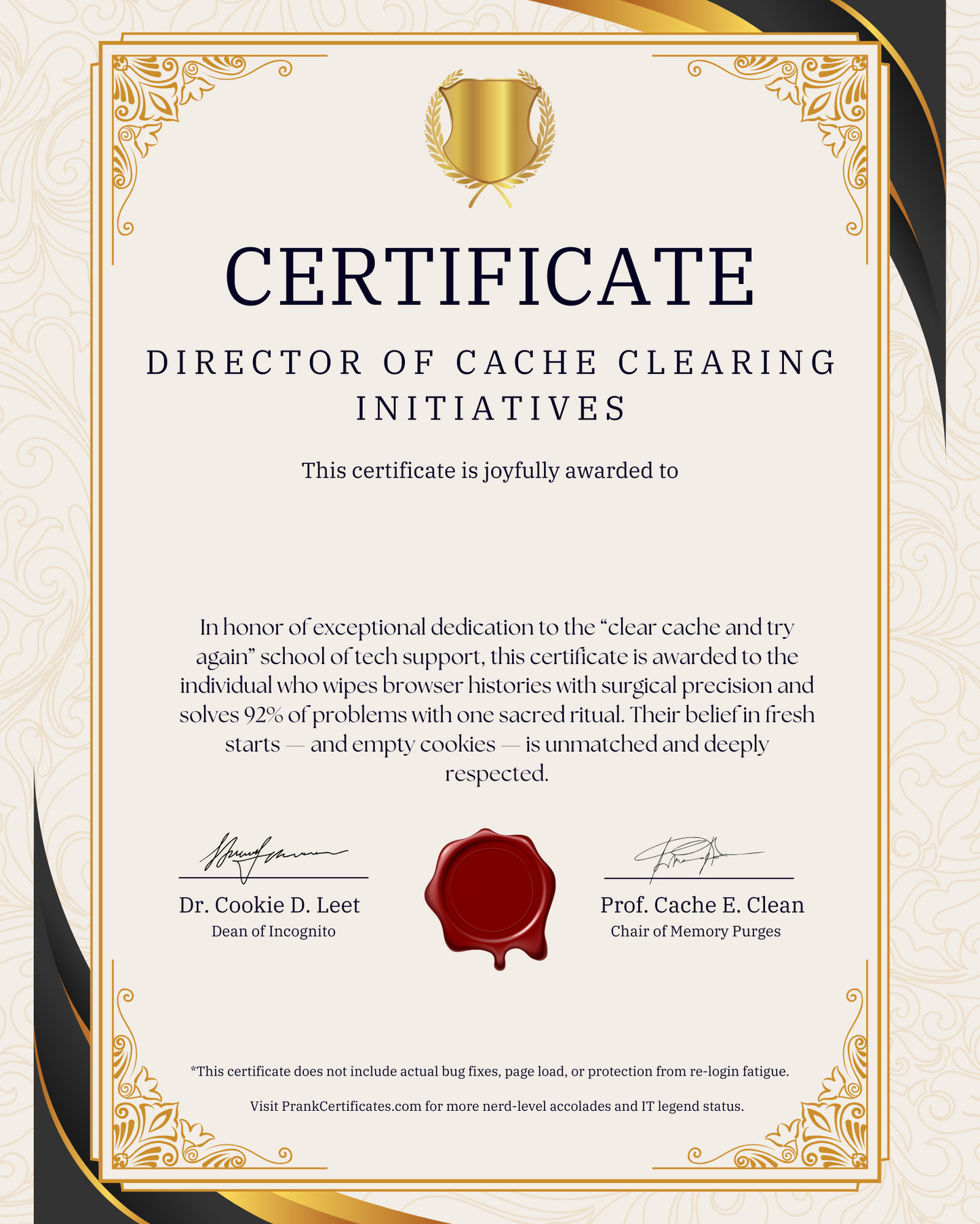 Director of Cache Clearing Initiatives
