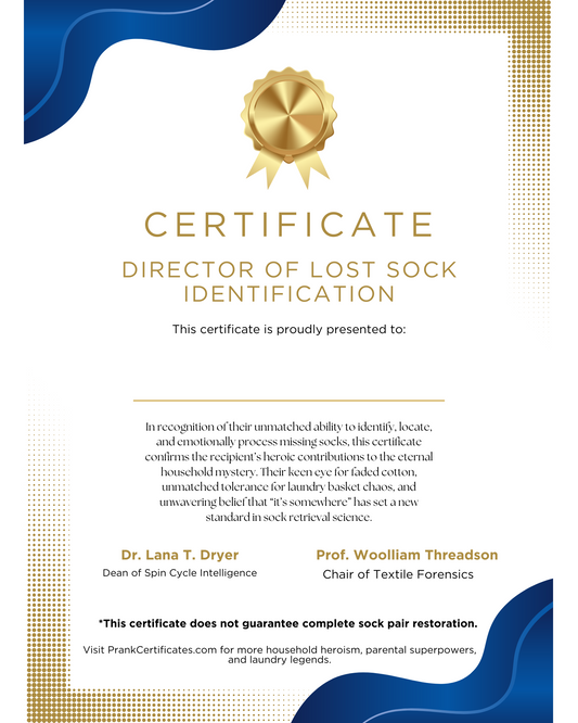Director of Lost Sock Identification