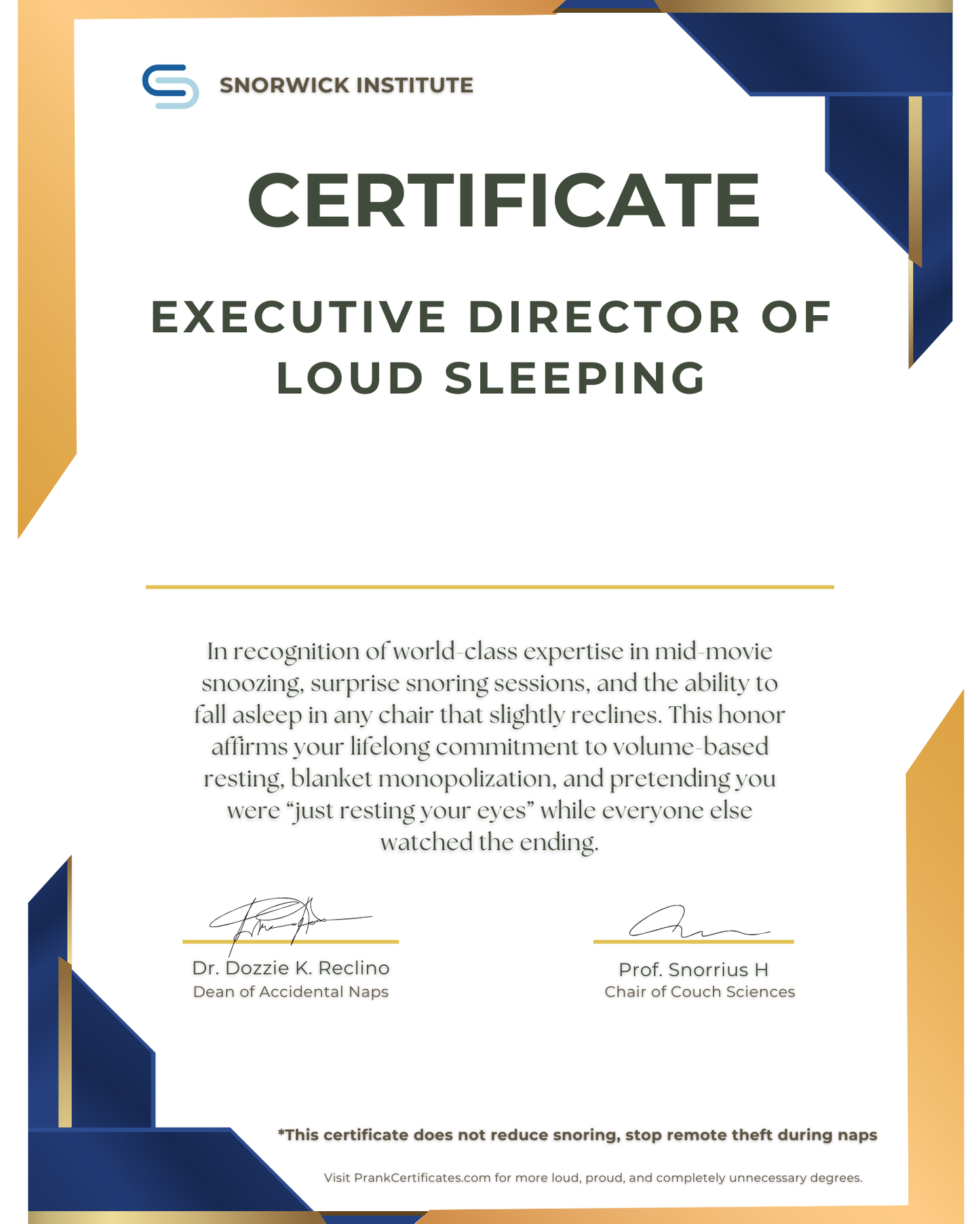 Executive Director of Loud Sleeping