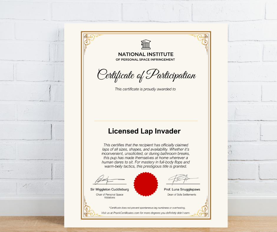 Licensed Lap Invader (For Pets)
