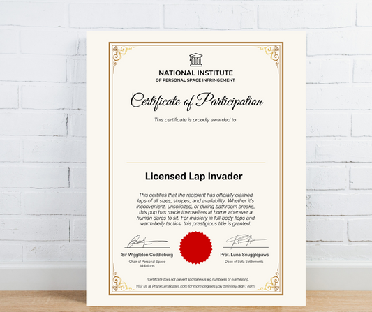 Licensed Lap Invader (For Pets)