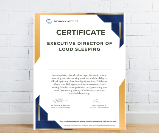 Executive Director of Loud Sleeping