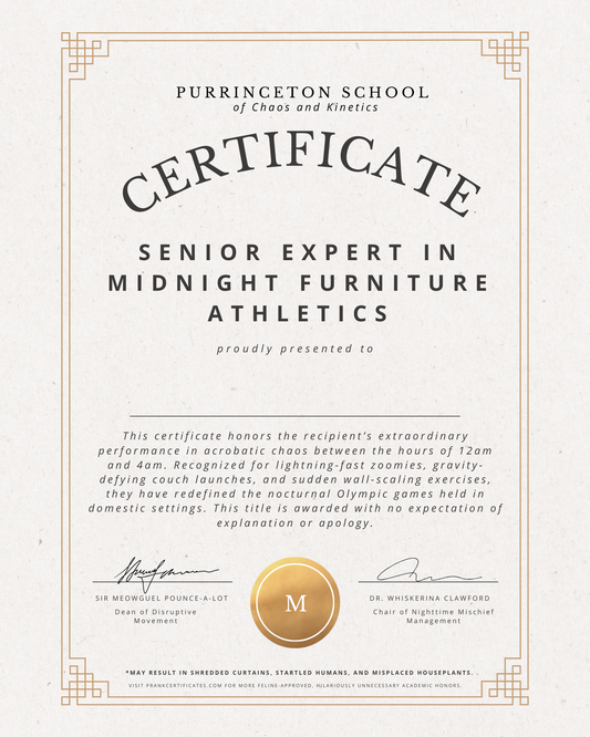 Senior Expert in Midnight Furniture Athletics (For Pets)
