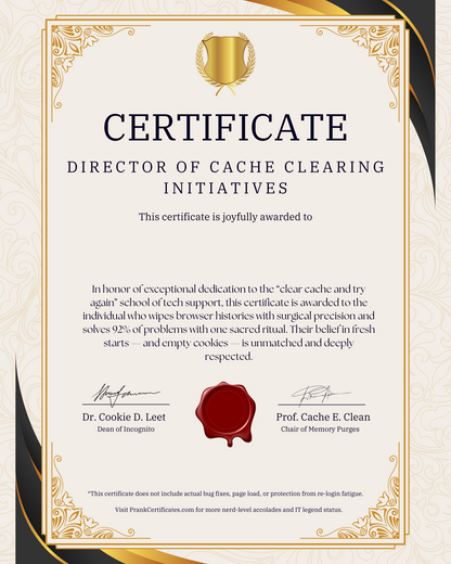 Director of Cache Clearing Initiatives