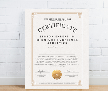 Senior Expert in Midnight Furniture Athletics (For Pets)