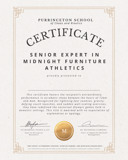 Senior Expert in Midnight Furniture Athletics (For Pets)
